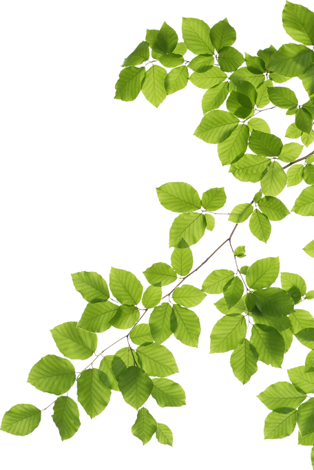 blaetter-02-klima-aktion-wald_03